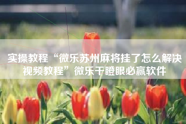 实操教程“微乐苏州麻将挂了怎么解决视频教程”微乐干瞪眼必赢软件