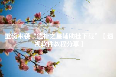 重磅来袭“德扑之星辅助挂下载	”【透视软件教程分享】