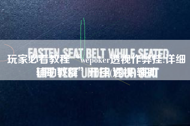 玩家必看教程“wepoker透视作弊挂!详细辅助教程	”开挂(透视)辅助