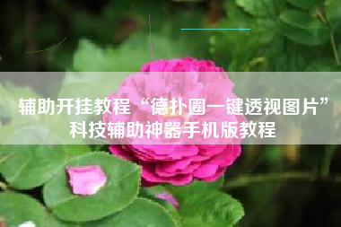 辅助开挂教程“德扑圈一键透视图片”科技辅助神器手机版教程