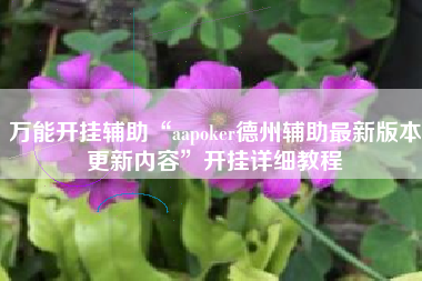 万能开挂辅助“aapoker德州辅助最新版本更新内容	”开挂详细教程