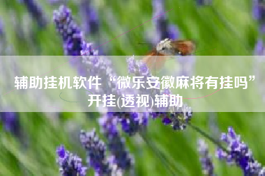 辅助挂机软件“微乐安徽麻将有挂吗	”开挂(透视)辅助