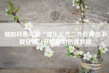 辅助科普实测“微乐三代二外卦神器下载安装”开挂辅助透视教程