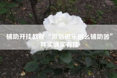 辅助开挂教程“微信微乐刨幺辅助器”其实确实有挂