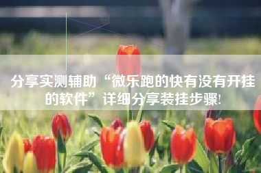 分享实测辅助“微乐跑的快有没有开挂的软件”详细分享装挂步骤!