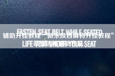 辅助开挂教程“微乐陕西麻将开挂教程”详细透视辅助方法