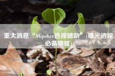 重大消息“AGpoker透视辅助”(曝光透视必备猫腻)
