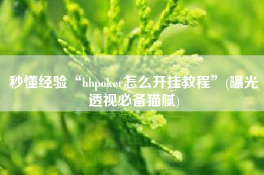 秒懂经验“hhpoker怎么开挂教程	”(曝光透视必备猫腻)