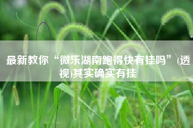 最新教你“微乐湖南跑得快有挂吗	”(透视)其实确实有挂
