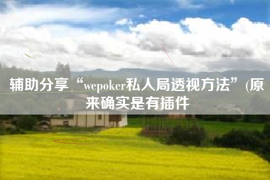辅助分享“wepoker私人局透视方法”(原来确实是有插件