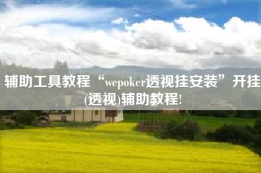 辅助工具教程“wepoker透视挂安装”开挂(透视)辅助教程!