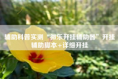 辅助科普实测“微乐开挂辅助器”开挂辅助脚本+详细开挂