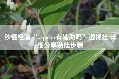 秒懂经验“wepoker有辅助吗”透视挂!详细分享装挂步骤