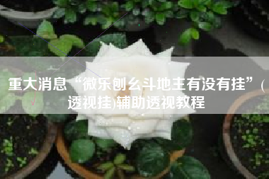 重大消息“微乐刨幺斗地主有没有挂	”(透视挂)辅助透视教程