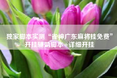 独家脚本实测“雀神广东麻将挂免费”开挂辅助脚本+详细开挂