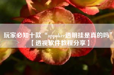 玩家必知十款“appoker透明挂是真的吗”【透视软件教程分享】