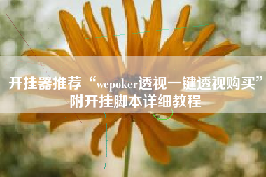 开挂器推荐“wepoker透视一键透视购买”附开挂脚本详细教程