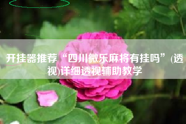 开挂器推荐“四川微乐麻将有挂吗”(透视)详细透视辅助教学