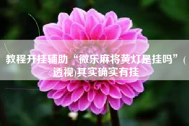 教程开挂辅助“微乐麻将黄灯是挂吗”(透视)其实确实有挂