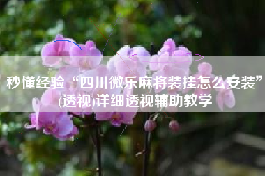 秒懂经验“四川微乐麻将装挂怎么安装”(透视)详细透视辅助教学