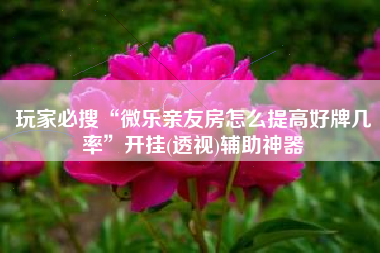 玩家必搜“微乐亲友房怎么提高好牌几率	”开挂(透视)辅助神器