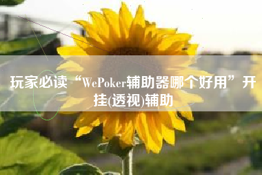 玩家必读“WePoker辅助器哪个好用”开挂(透视)辅助