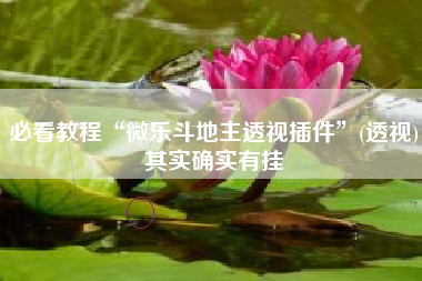 必看教程“微乐斗地主透视插件	”(透视)其实确实有挂