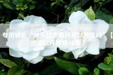 专用辅助“微乐甘肃麻将可以开挂吗	”【透视软件教程分享】