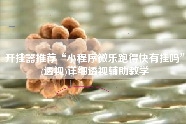 开挂器推荐“小程序微乐跑得快有挂吗	”(透视)详细透视辅助教学