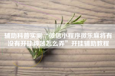 辅助科普实测“微信小程序微乐麻将有没有开挂神器怎么弄”开挂辅助教程