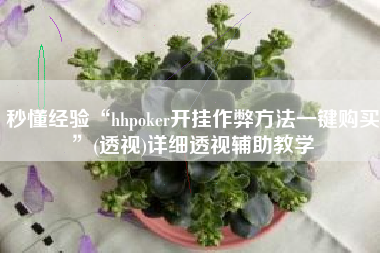 秒懂经验“hhpoker开挂作弊方法一键购买”(透视)详细透视辅助教学
