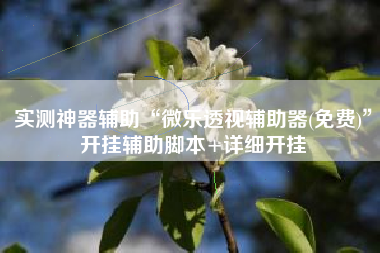 实测神器辅助“微乐透视辅助器(免费)	”开挂辅助脚本+详细开挂