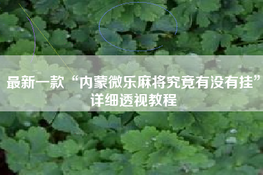 最新一款“内蒙微乐麻将究竟有没有挂”详细透视教程