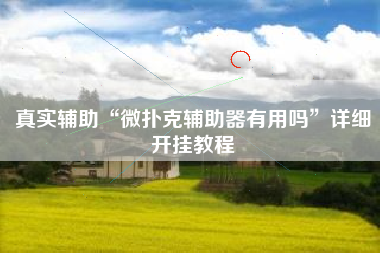 真实辅助“微扑克辅助器有用吗	”详细开挂教程