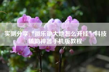 实测分享“微乐锄大地怎么开挂”科技辅助神器手机版教程