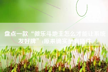 盘点一款“微乐斗地主怎么才能让系统发好牌	”(原来确实是有插件