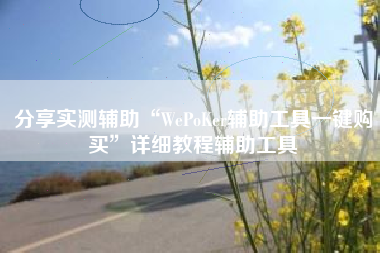 分享实测辅助“WePoKer辅助工具一键购买”详细教程辅助工具