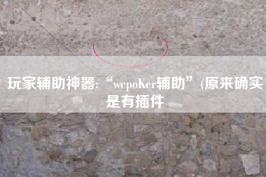 玩家辅助神器:“wepoKer辅助”(原来确实是有插件