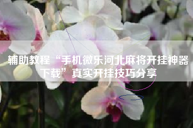 辅助教程“手机微乐河北麻将开挂神器下载	”真实开挂技巧分享