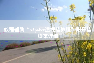 教程辅助“AApoker透视挂教程”附开挂脚本详细