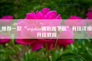 推荐一款“wepoker辅助器下载”有挂详细开挂教程