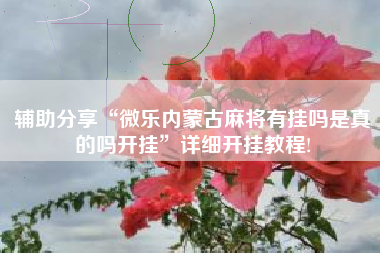 辅助分享“微乐内蒙古麻将有挂吗是真的吗开挂”详细开挂教程!