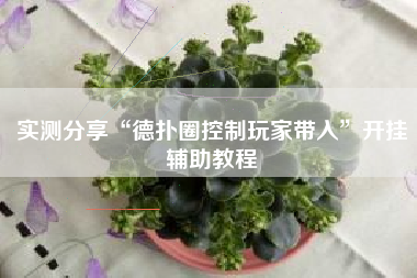 实测分享“德扑圈控制玩家带入	”开挂辅助教程