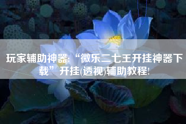 玩家辅助神器:“微乐二七王开挂神器下载”开挂(透视)辅助教程!