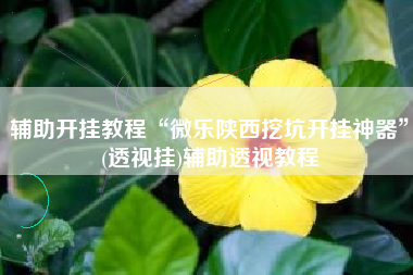 辅助开挂教程“微乐陕西挖坑开挂神器	”(透视挂)辅助透视教程