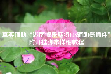 真实辅助“湖南微乐麻将IOS辅助器插件”附开挂脚本详细教程