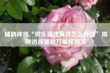 辅助神器“微乐福建麻将怎么开挂”揭秘透视辅助万能挂用法