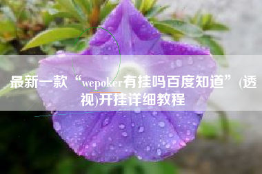 最新一款“wepoker有挂吗百度知道	”(透视)开挂详细教程