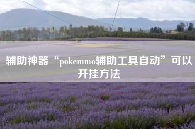 辅助神器“pokemmo辅助工具自动	”可以开挂方法