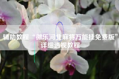 辅助教程“微乐河北麻将万能挂免费版	”详细透视教程